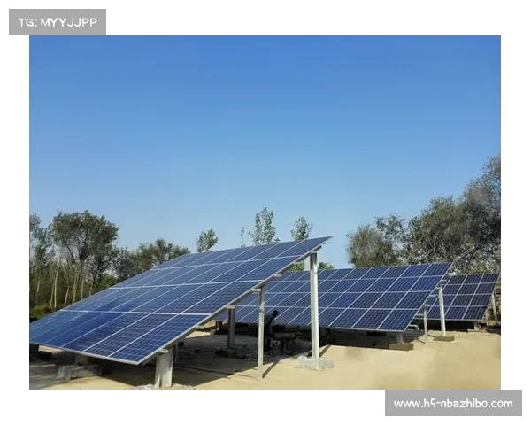 湛江体育馆光伏顶棚启用助力绿色赛事标准能源消耗降低30% 湛江体育馆光伏顶棚启用助力绿色赛事标准能源消耗降低30%