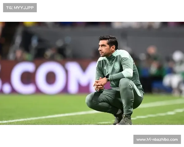 帕尔梅拉斯小组赛六战全胜晋级,展现强劲实力 帕尔梅拉斯小组赛六战全胜晋级,展现强劲实力